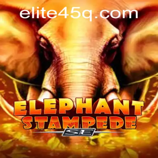 45q.com Exclusivo