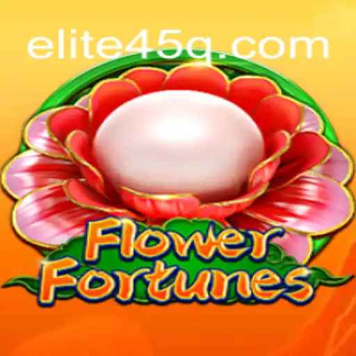 45q.com Casino App
